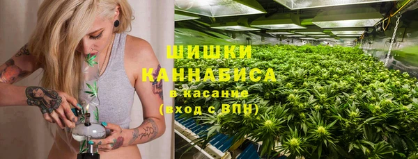 сатива Дмитриев