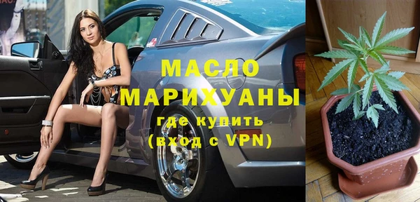 сатива Дмитриев