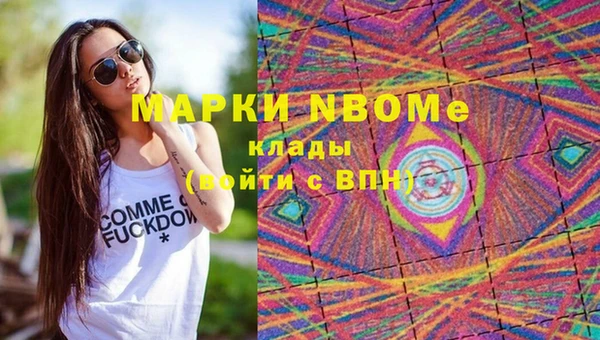 сатива Дмитриев