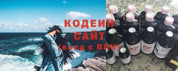 сатива Дмитриев