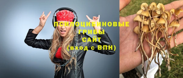 сатива Дмитриев