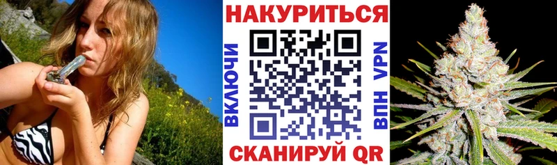 Канабис план  Донской 